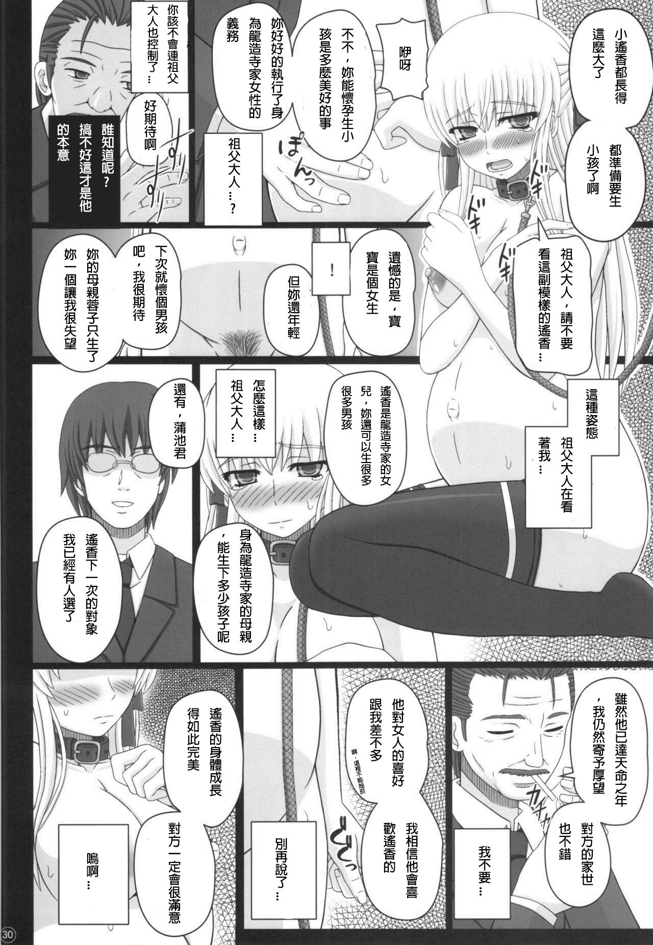 (C88) [Shiawase Kyouwakoku (Shiawase no Katachi)] Katashibu 40-shuu + Kaijou Genteibon [chinese] [璃頭個人翻譯] page 31 full