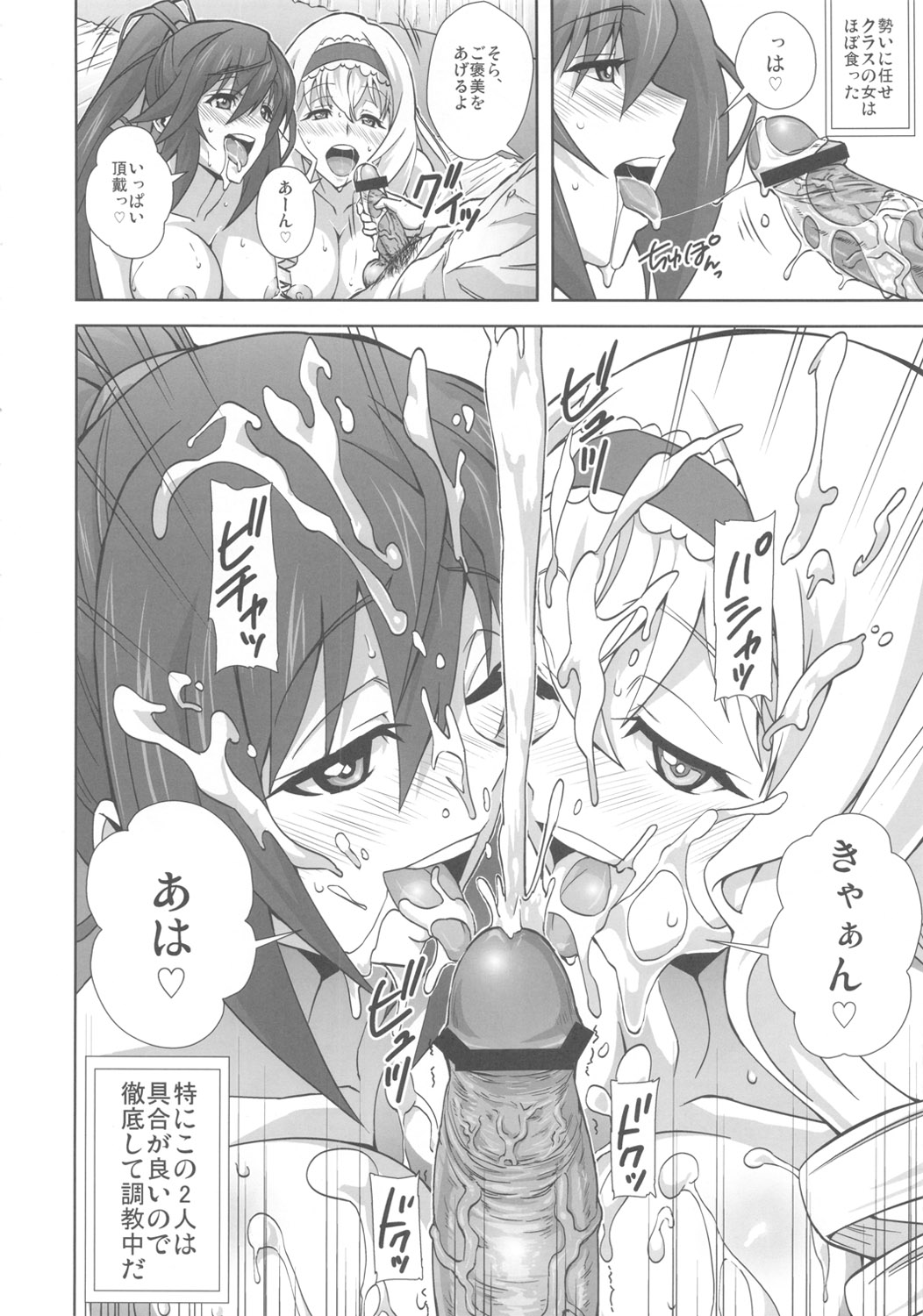 (COMIC1☆5) [Kamoro-Sa-Z (Oobanburumai)] Infinite DoStratos (Infinite Stratos) page 5 full