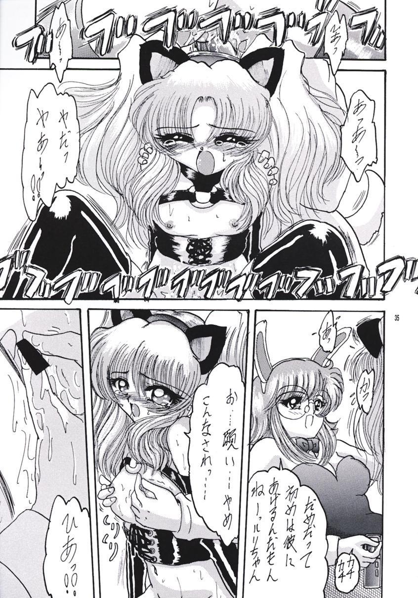 (C55) [L-Gauge Sha (Shōryū)] R2 (Martian Successor Nadesico) page 34 full