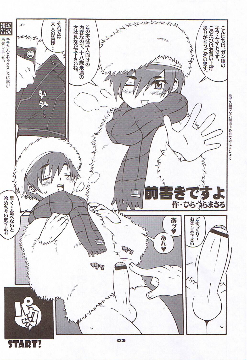 (C69) [COMBAT MON-MON (Hiratsura Masaru)] RC2005 (Turn A Gundam) page 2 full
