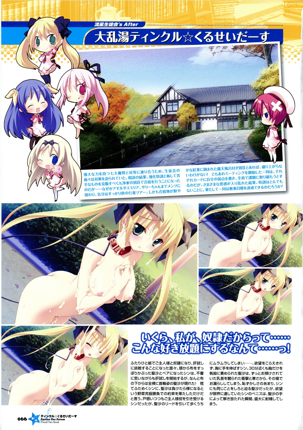 [Lillian] Twinkle☆Crusaders Passion Star Stream Visual Fanbook [Kannagi rei･kotamaru] page 76 full