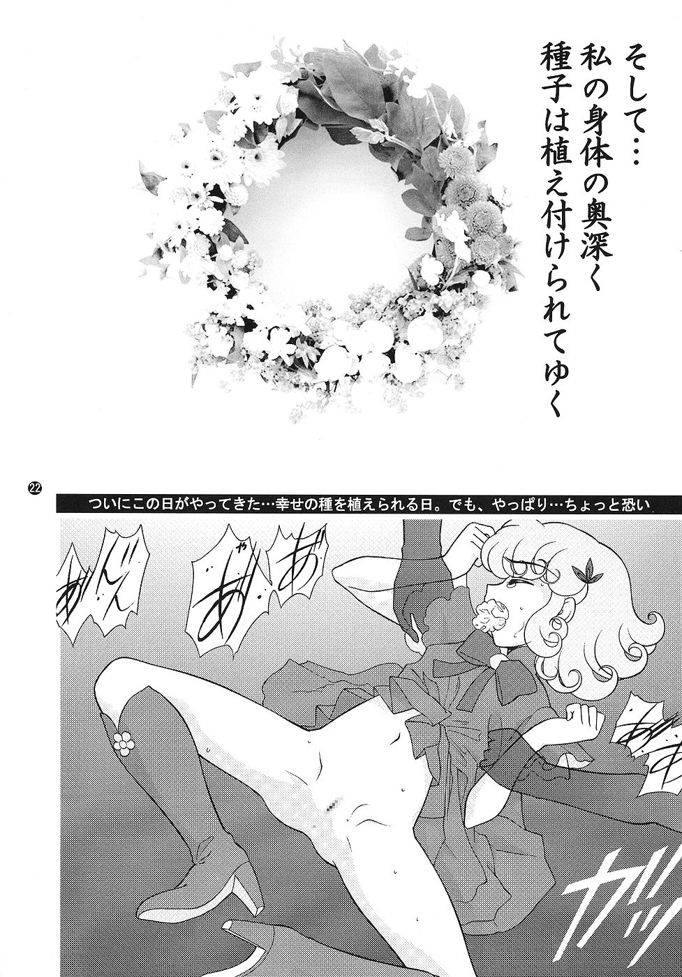 [FLASHBACK & Nippon Gyouretsu Shinkoukai] CHARA EMU CHARACTER EMULATION Series 1 MAGICALGIRLS (Mahou Shoujo Series) page 21 full