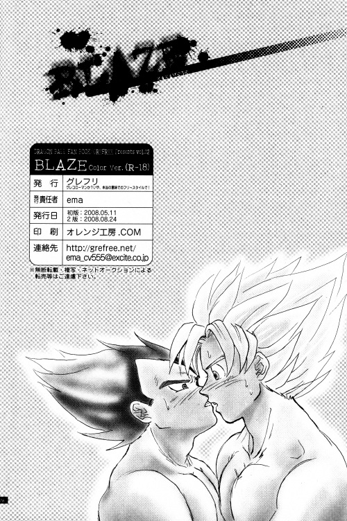 [GREFREE (ema)] Blaze (DRAGON BALL Z) page 26 full