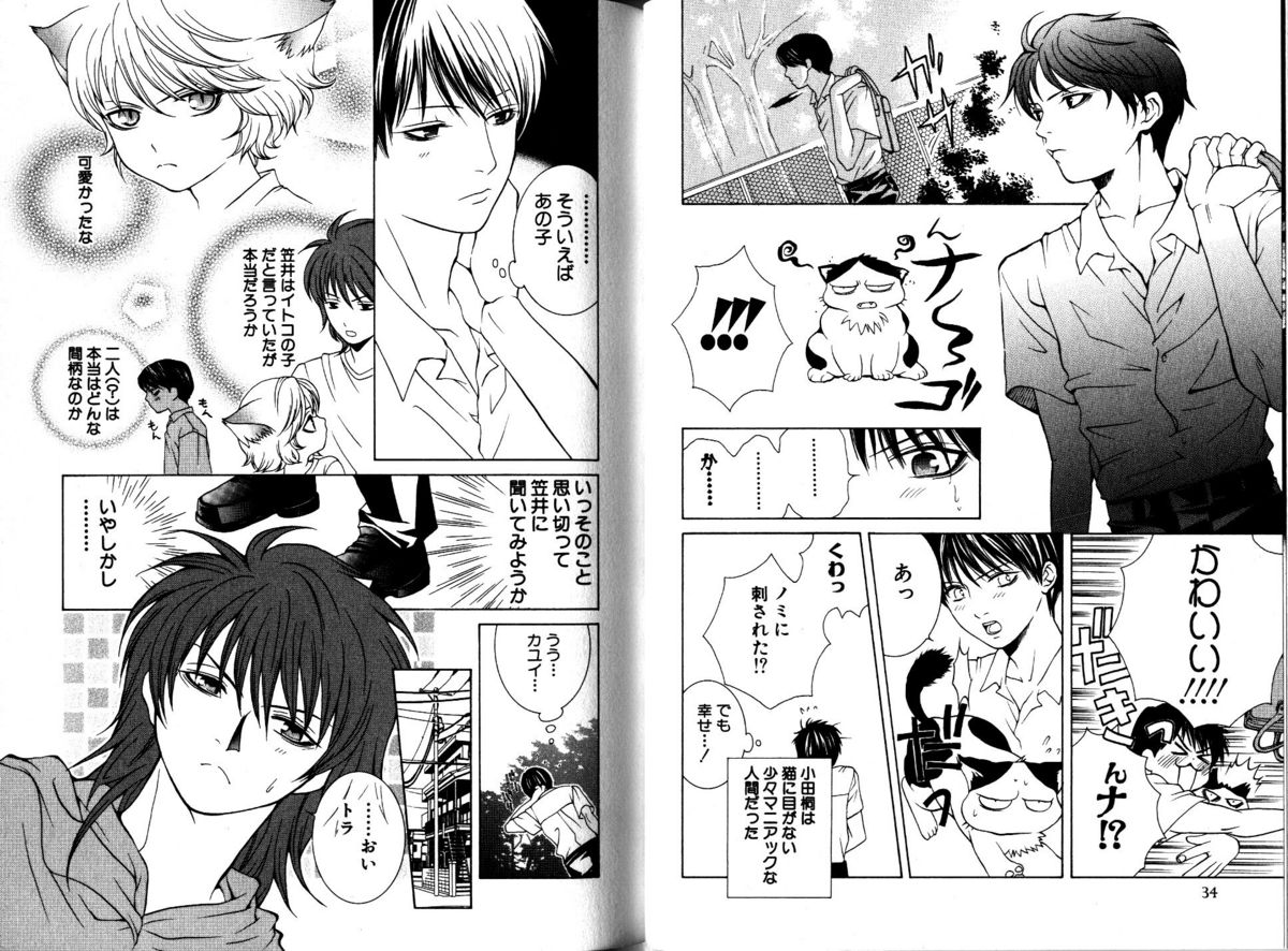 Akana Meiko - Nekokan page 20 full