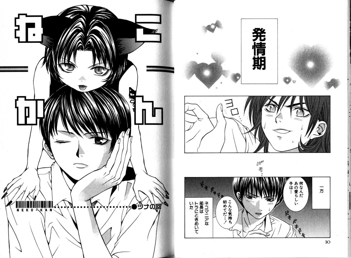 Akana Meiko - Nekokan page 18 full