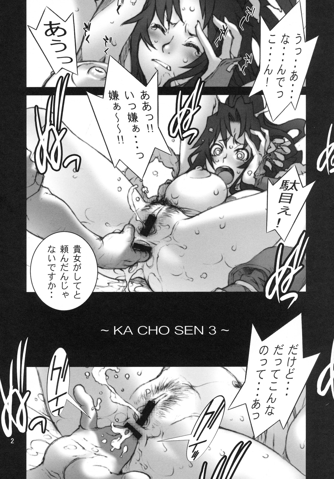 (C79) [P-Collection (nori-haru)] Kachousen San (The King of Fighters) page 3 full