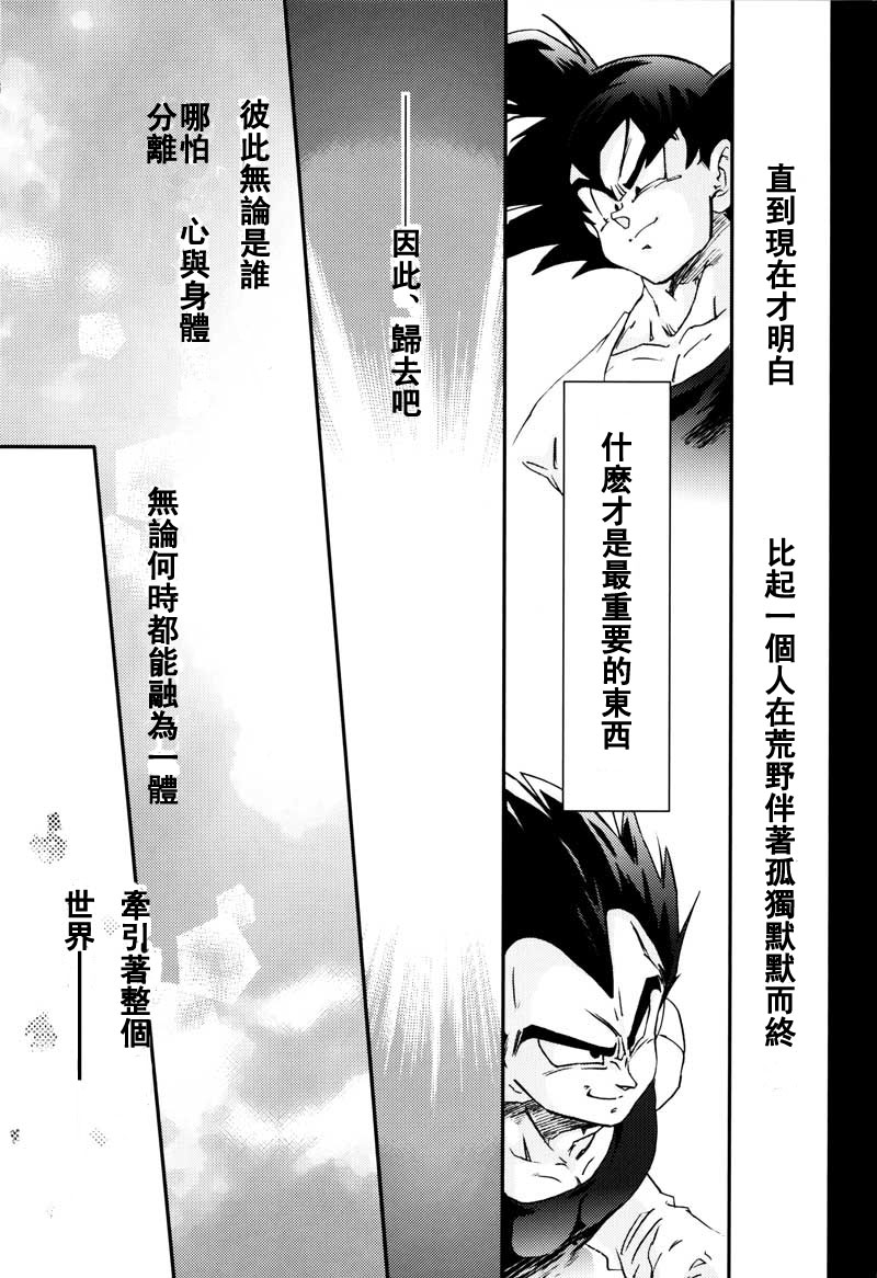 [Dokugunryu (Komakawa Rimi)] MONSTRUO (Dragon Ball Z) [Chinese] page 29 full