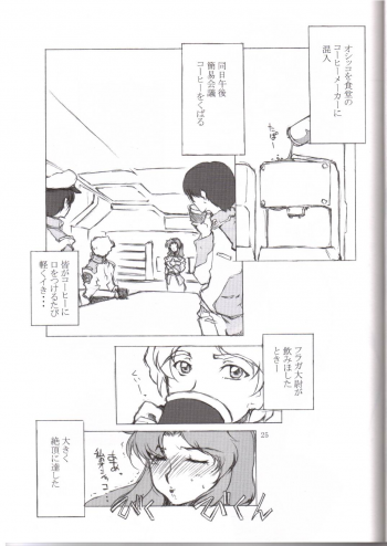 [BM Dan (Domeki Bararou)] BABEL SEED (Gundam Seed) - page 22