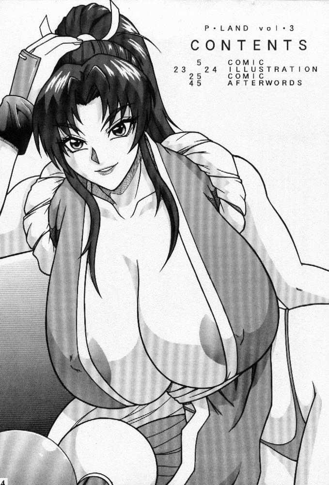 [P-LAND (PONSU)] P-LAND VOL.3 (King of Fighters) page 3 full