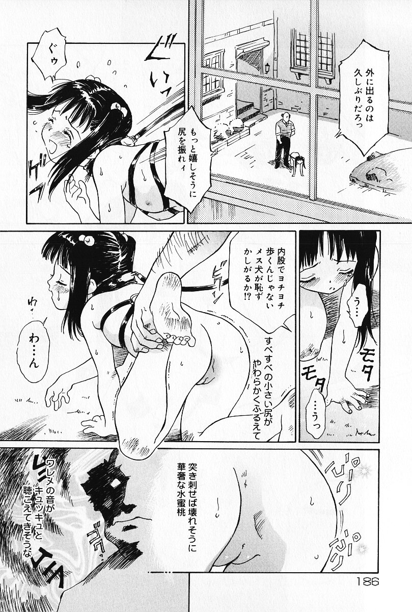 [Yamanobe Kitta] Otome no Shizuku page 185 full