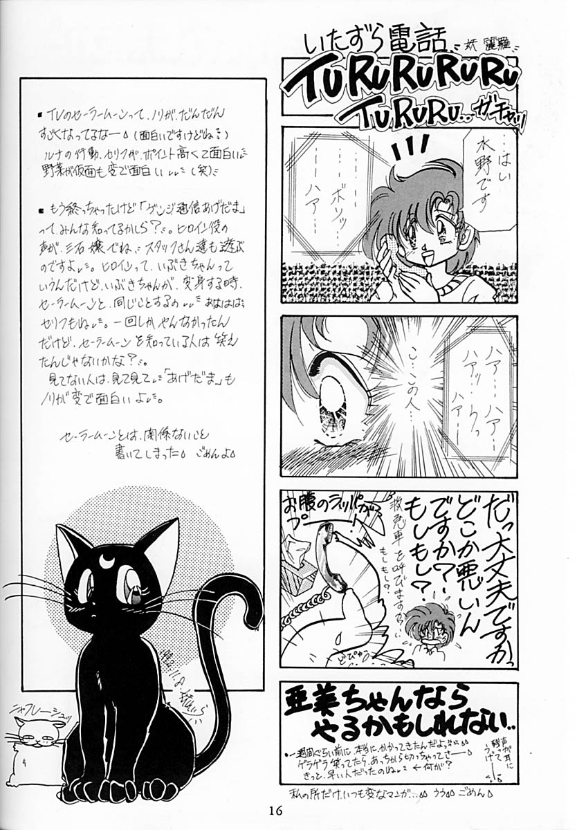 (C43) [LIVELY BOYS (various)] Princess Moon (Bishoujo Senshi Sailor Moon) page 17 full