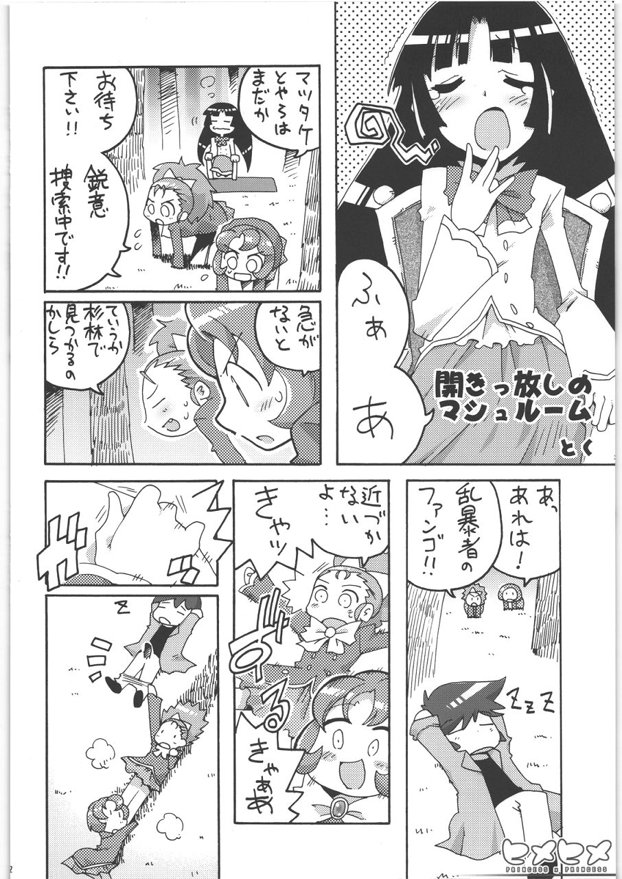 (Kanojotachi no Neiro) [IncluDe (Foolest)] Hime hime (Fushigi Boshi no Futago Hime) page 23 full