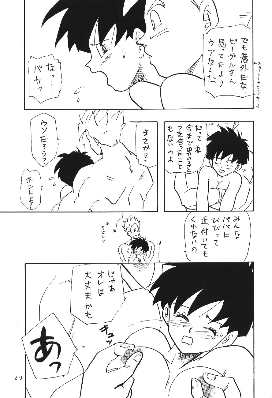 (C45) [Chirigami Goya, Fusuma go Ten (Shoji Hariko)] XXX (DRAGON BALL) page 28 full