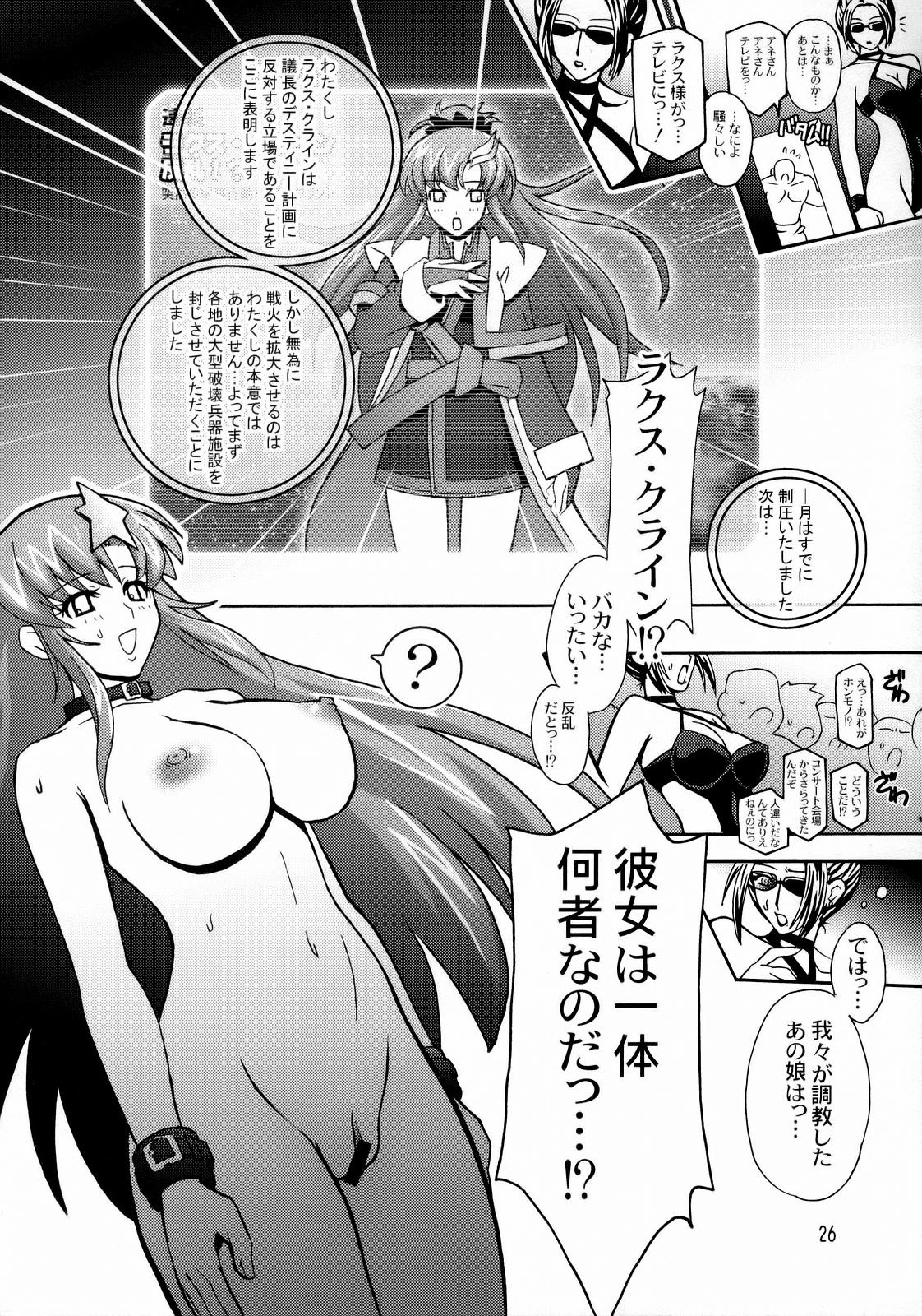 (C70) [Studio Mizuyokan (Higashitotsuka Rai Suta)] HIGH MEER (Gundam SEED Destiny) page 25 full