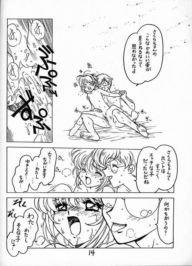 (C56) [Bible (Ogata Satomi)] Kyouakuteki Shidou Vol. 12 Junbigou (Cardcaptor Sakura) page 13 full