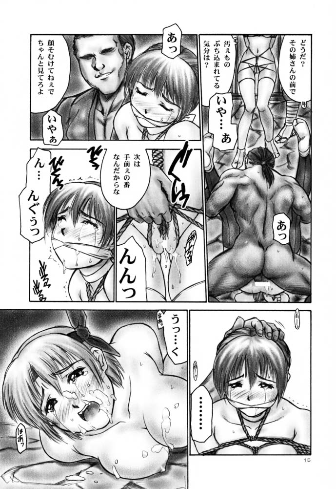 (C61)[Hellabunna (Iruma Kamiri)] INU/AO Posterior (Dead or Alive) page 14 full