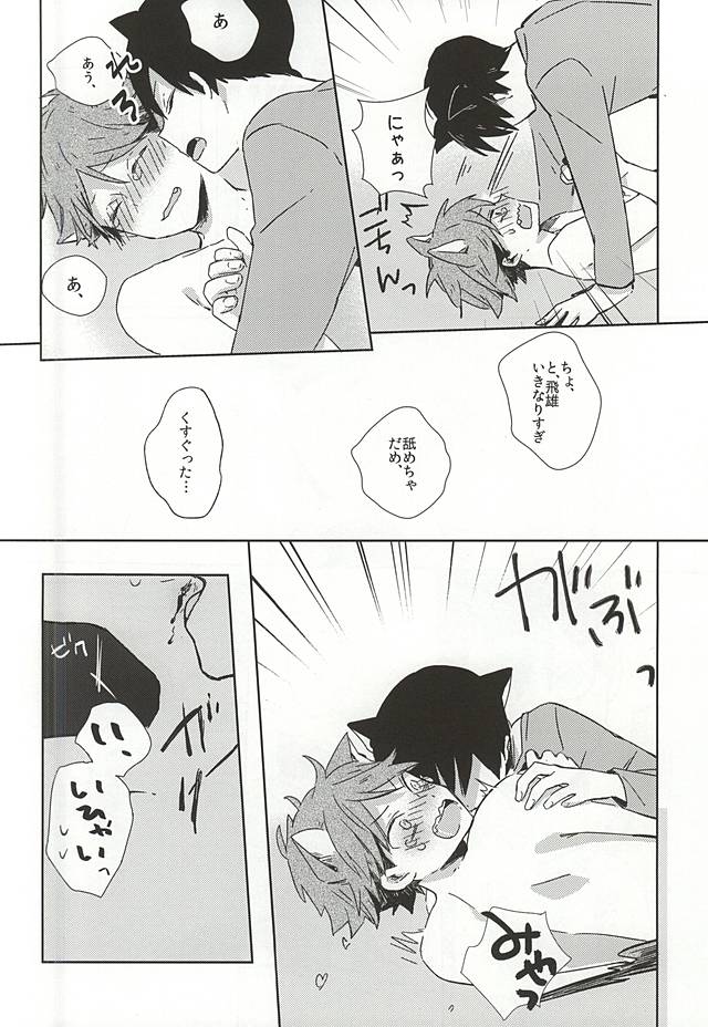 (RTS!!5) [Shounen-H (Yuuki)] Neko ni Natta Oikawa-san (Haikyuu!!) page 21 full