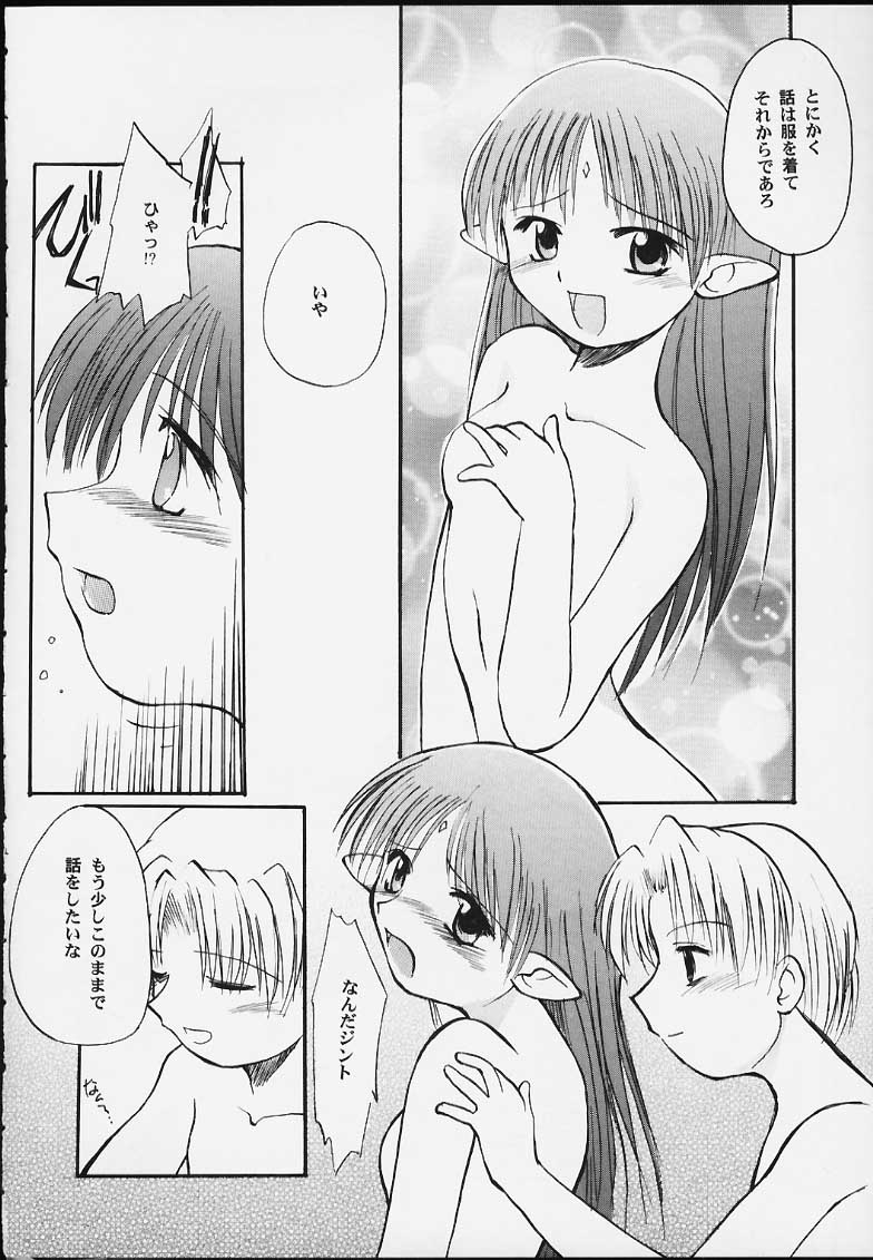 (CR28) [Sueya (Sue)] Lafiel-sama to Yobu ga Yoi!!!!! (Seikai no Senki) page 13 full