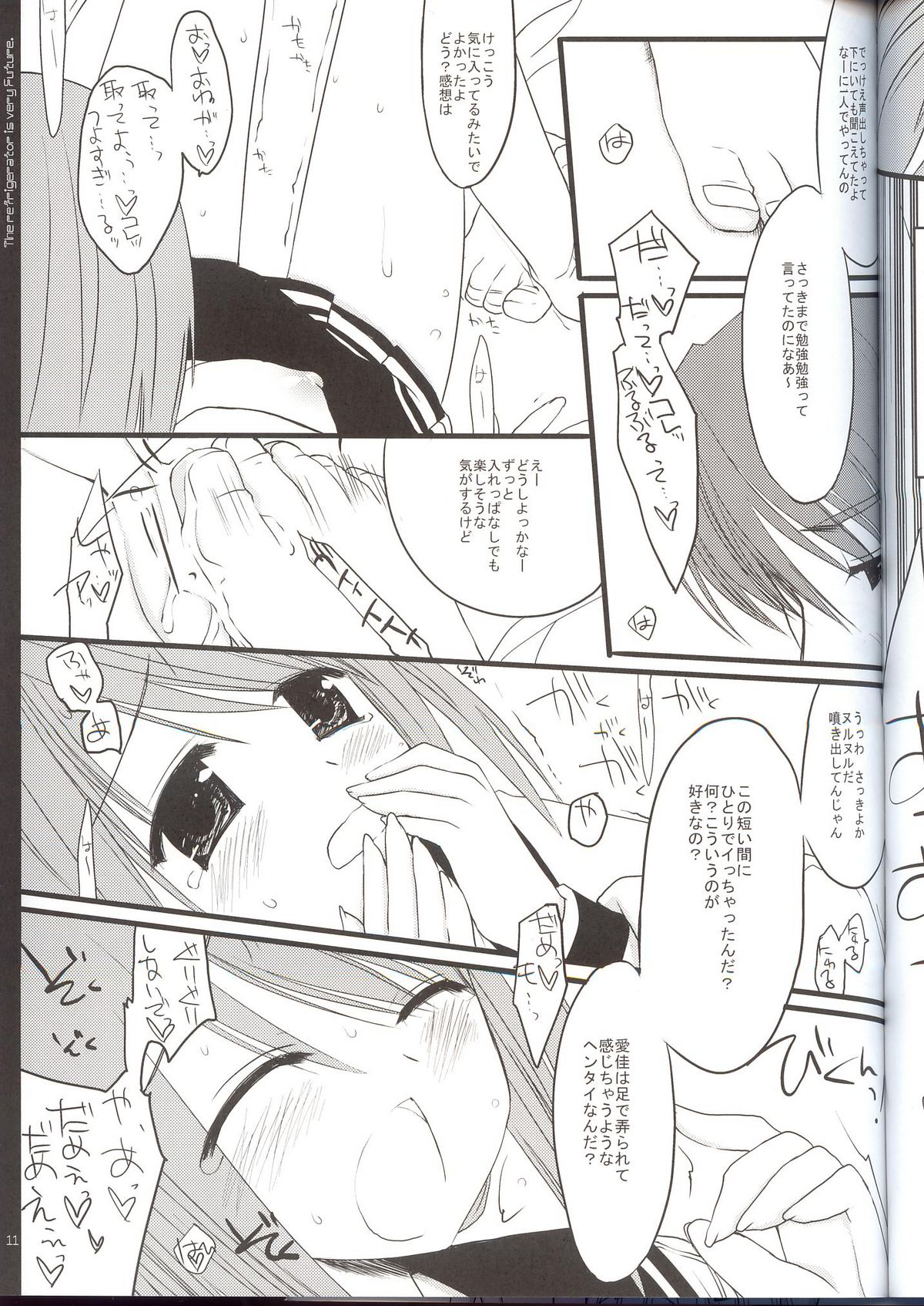 (C69) [D.N.A.Lab. (Miyasu Risa)] Reizoukotte Tottemo Future ‐ The Refrigerator is very Future (ToHeart 2) page 10 full