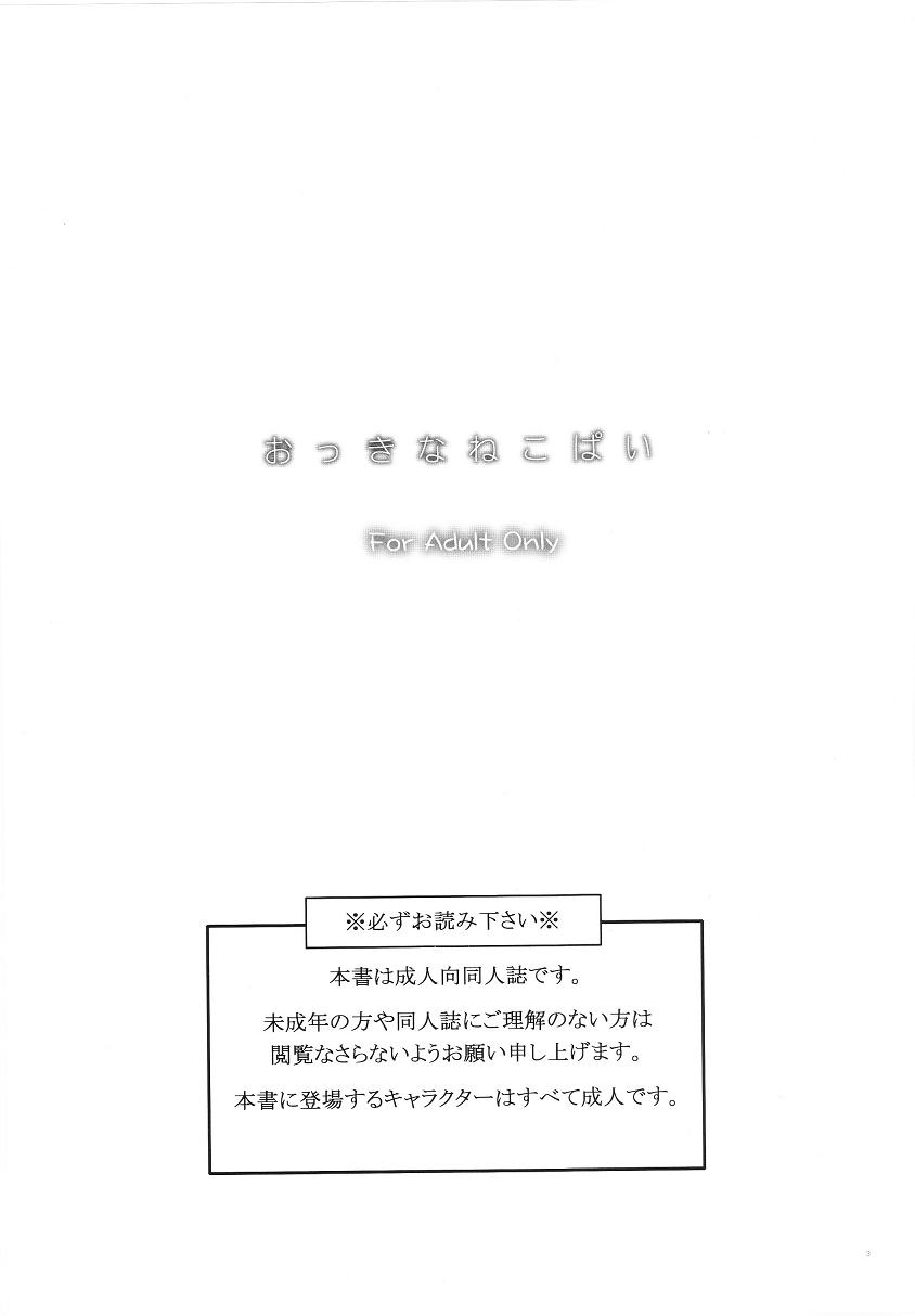 (C75) [AZA+ (Yoshimune)] Okkina Neko Pai (Final Fantasy XI) page 2 full