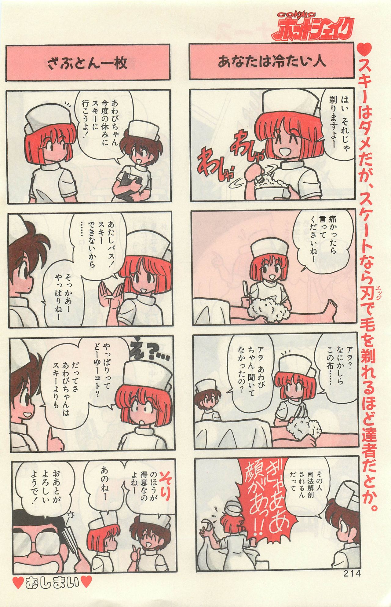 Comic Hot shake Candy Time Kaizokuban 1994-02 page 208 full