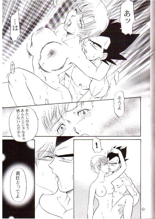 (C66) [Ryuujin-kai (HITO Ribuki)] CHEAP THRILLS (Dragon Ball Z) page 19 full