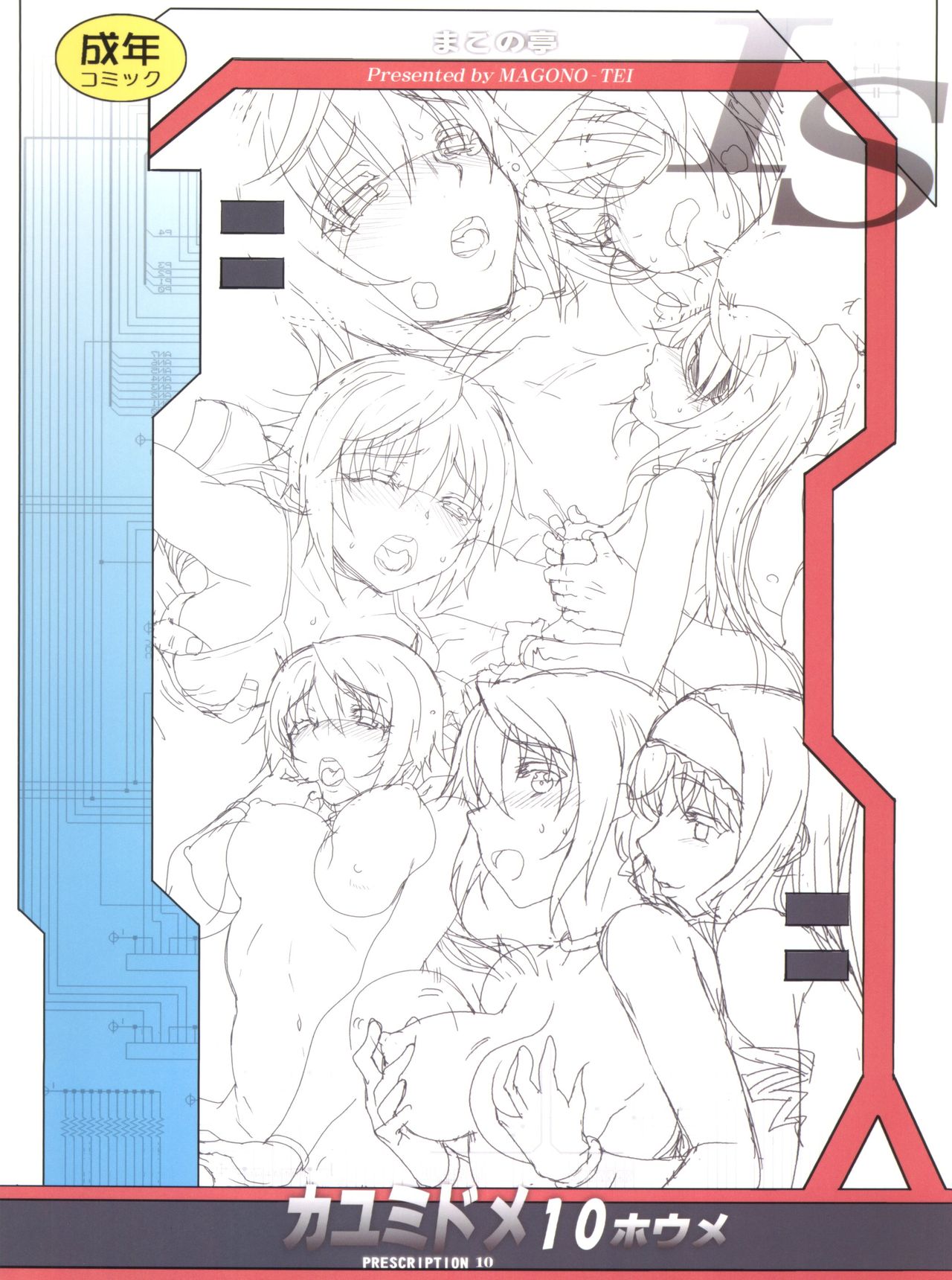 (C85) [Magono-Tei (Carn)] Kayumidome 10 houme (Infinite Stratos) page 30 full