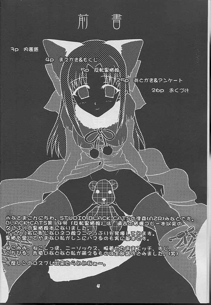 [Studio Black Cats (Tsumori (AZR) Minato)] Black Cats 14 Hanten Kuroneko Musume (Tsukihime) page 3 full