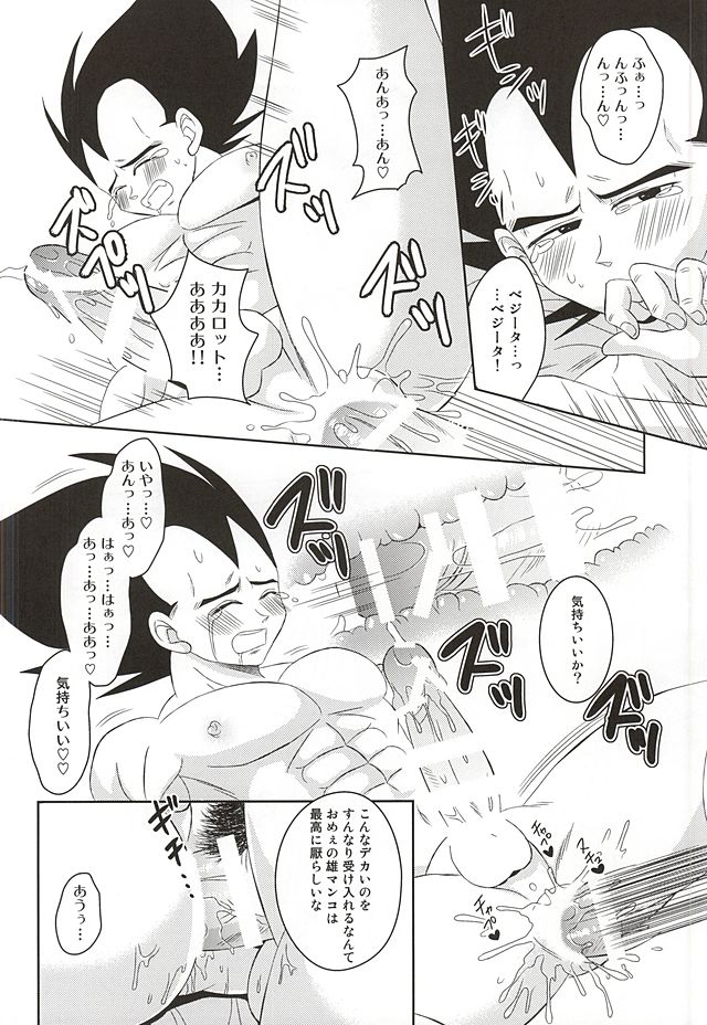 [Yutsuki (Ryuuk)] Dear2 (Dragon Ball Z) page 24 full