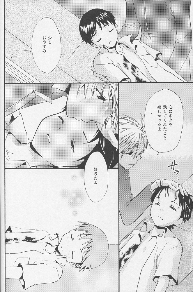 (C77) [RAYTREC (Fuyunagi Reku)] +PLUS (Neon Genesis Evangelion) page 29 full