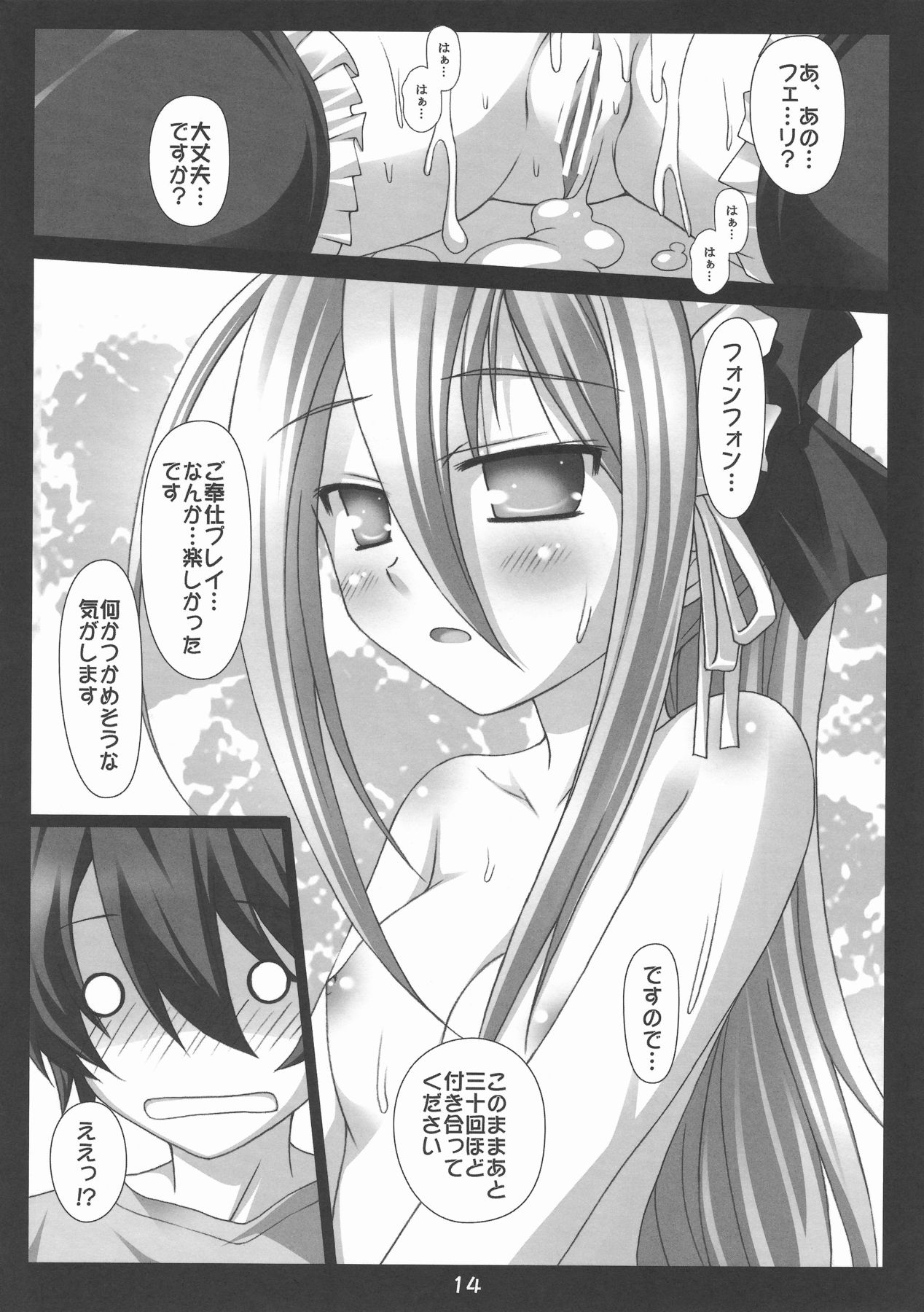 (COMIC1☆3) [Nirvana Soft (HIRONII)] Felli no Hi-Mitsu Tokkun (Chrome Shelled Regios) page 14 full