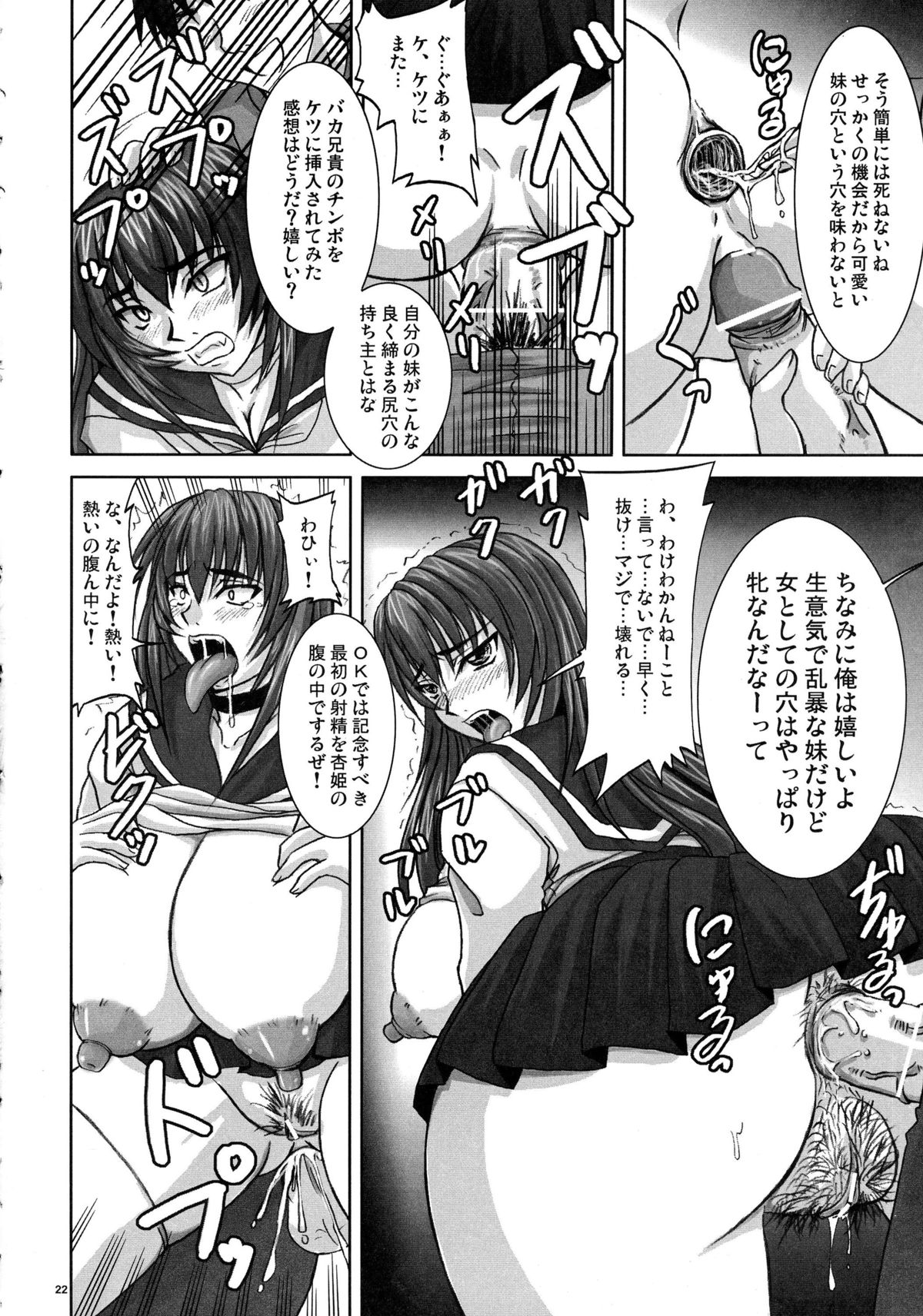 (C71) [Nozarashi (Nozarashi Satoru)] Gyakushuu no Kyouhime-sama page 22 full