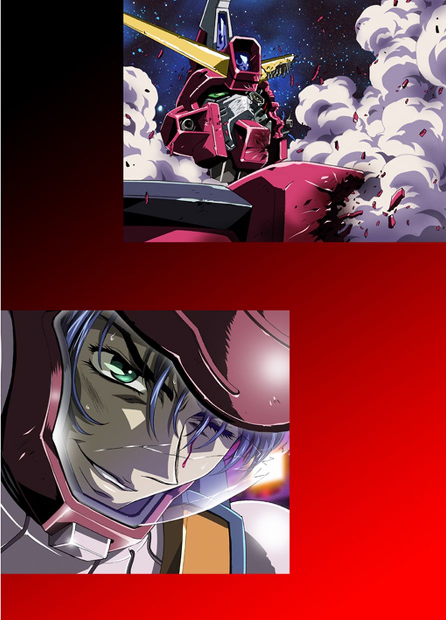 (C66) [HenReiKai (Kawarajima Koh)] Seed Another Century Plus (Gundam SEED) page 8 full