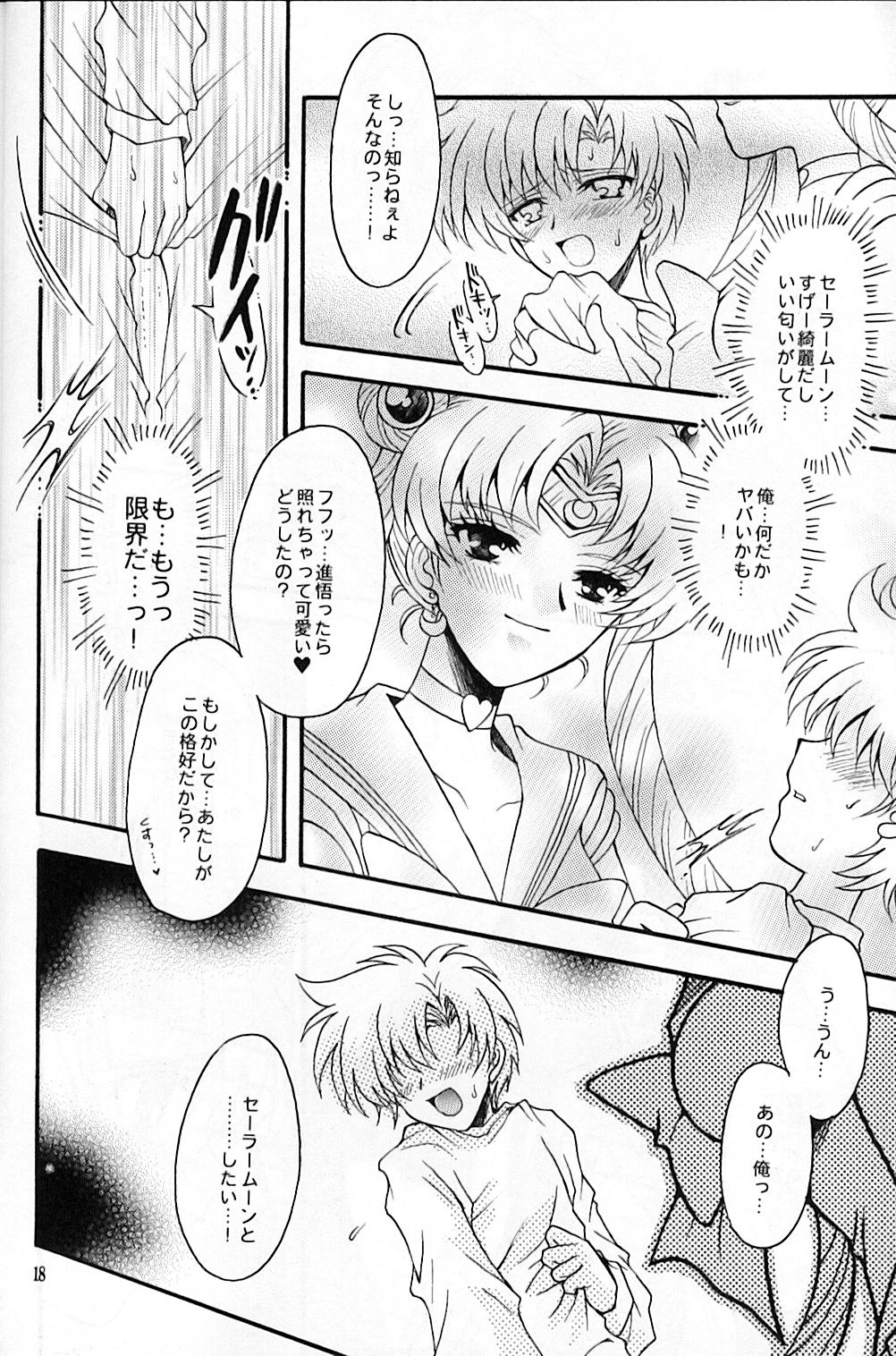 (C67) [Kotori Jimusho (Sakura Bunchou)] chanson de I'adieu (Sailor Moon) page 19 full