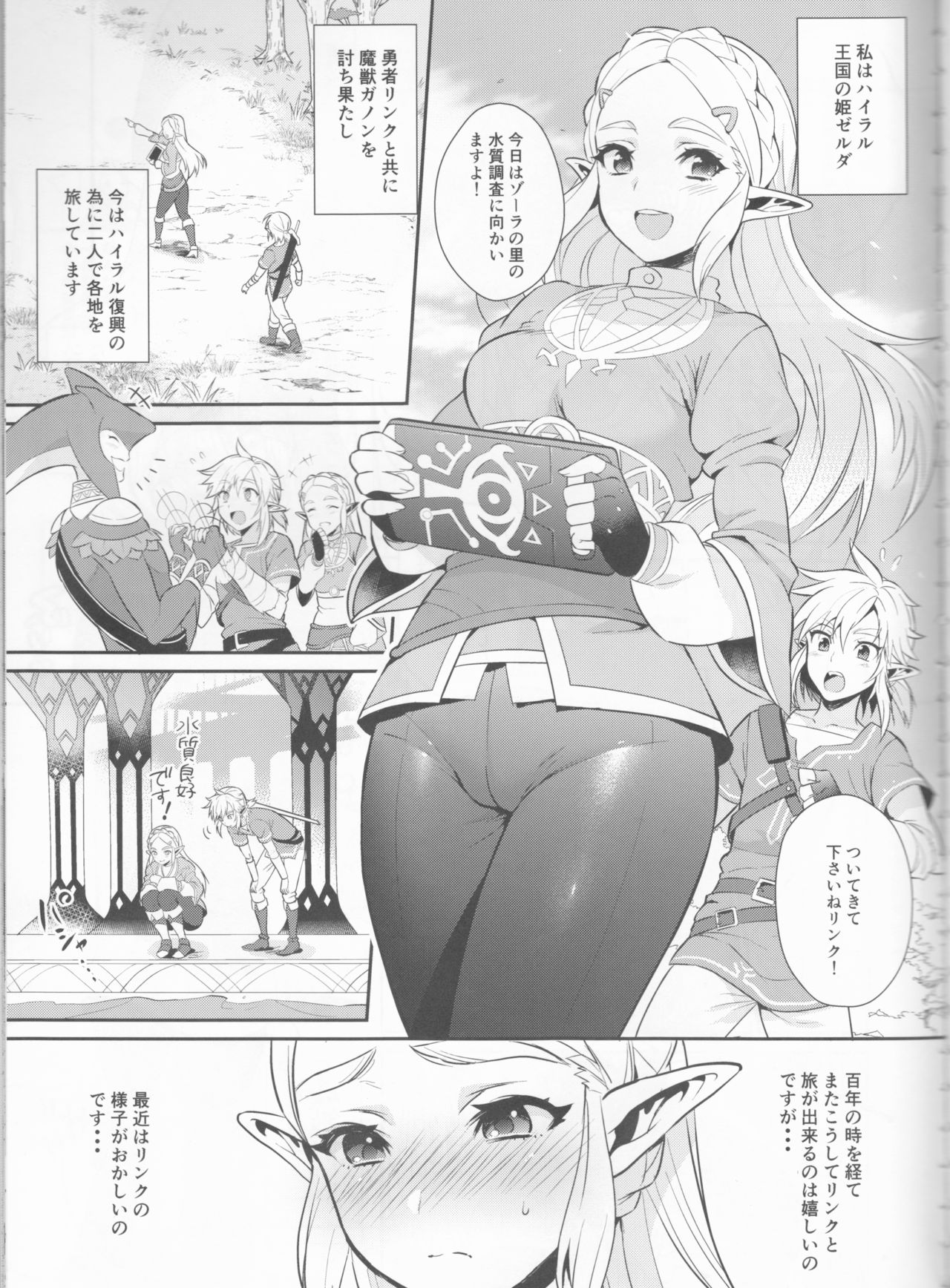 (C93) [Morittokoke (Morikoke)] Hyrule Hanei no Tame no Katsudou! (The Legend of Zelda) page 4 full