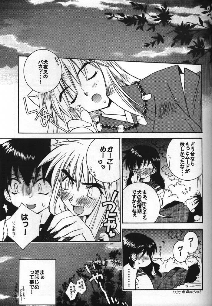 (C61) [Nekomarudou Honpo (Nekomaru)] Inuyasha Doku Hon (Sengoku Otogizoushi Inuyasha) page 10 full