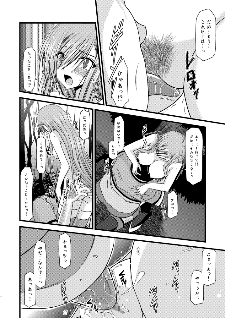 (C76) [valssu (Charu)] Melon ga Chou Shindou! R (Tales of the Abyss) page 12 full