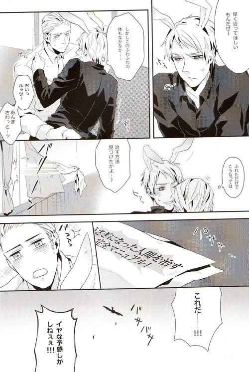 [LUNATIC] Help me, westttttt!! (Axis Powers Hetalia) page 14 full