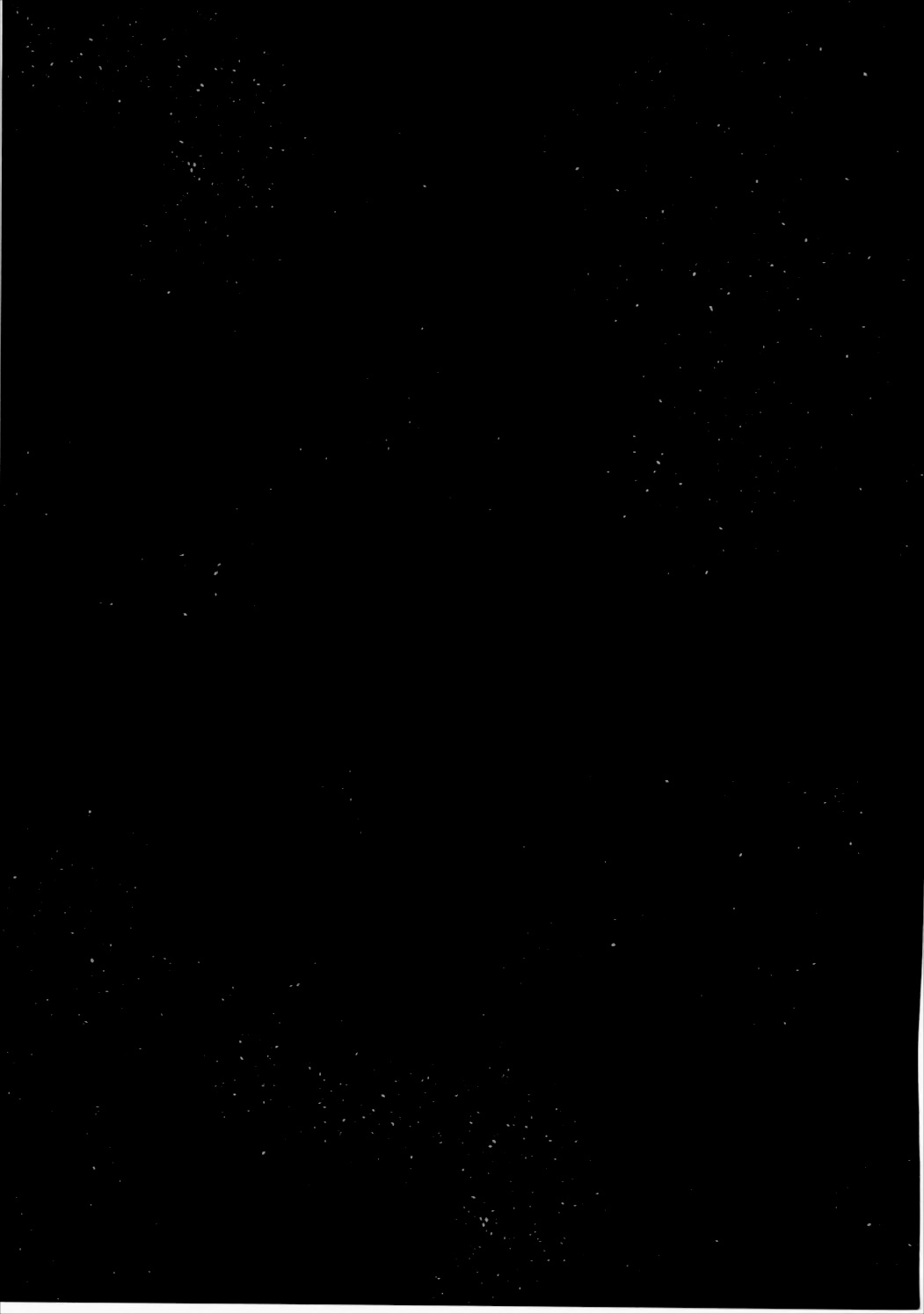 (Mimiket 36) [Nekosenyou Milk (Nasu Hanahana)] Aka to Ao no Maid-san ga Oni Kawaii Ken ni Tsuite (Re:Zero Kara Hajimeru Isekai Seikatsu) page 12 full