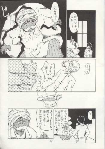 (C63) [KUROHIGE (Shinonome Tarou)] Yorihime (Tsukihime) - page 25