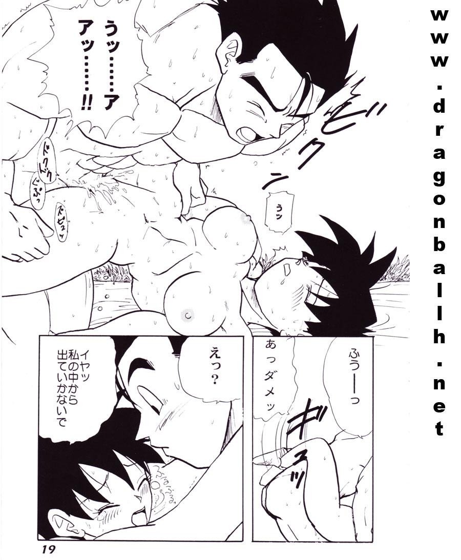 (C52) [Fusuma Goten (Shouji Hariko)] Irohani (Dragonball Z) page 19 full