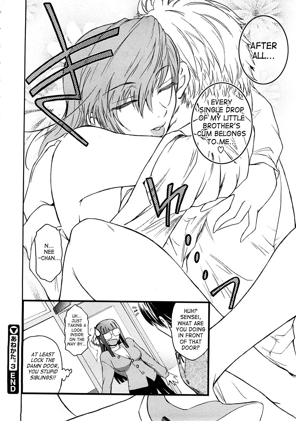 [Nao Kokonoki] Anekata. 3 (COMIC Megastore 2009-01) [English] page 16 full