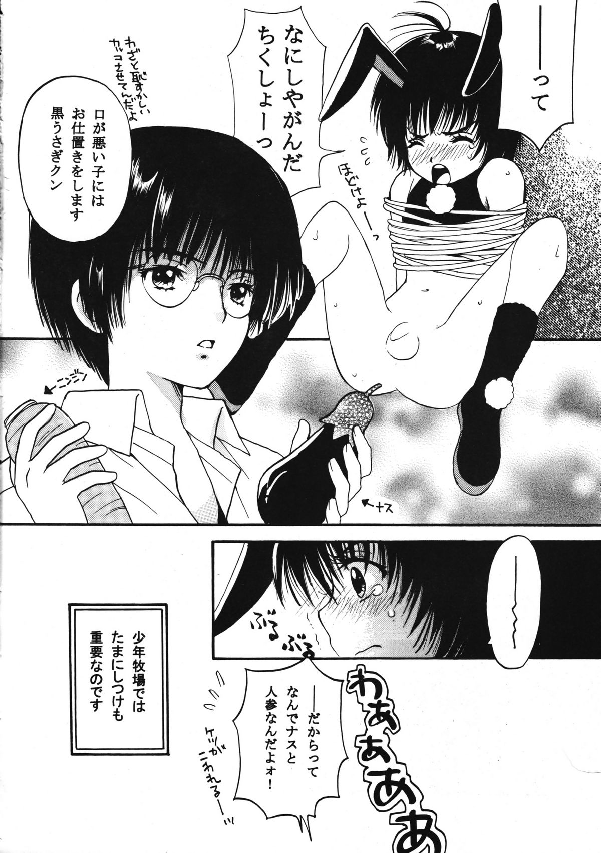 (C64) [Shouwa Prism (Hoshizaki Ryuu)] Boys Farm 2 page 11 full