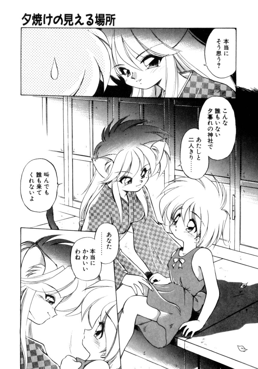 [Ebi Fly] Mainichi ga Wonderland page 162 full