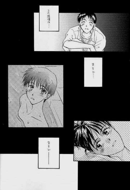 [Zaougumi (Zaou Taishi)] Lost Sheep (Neon Genesis Evangelion) page 16 full