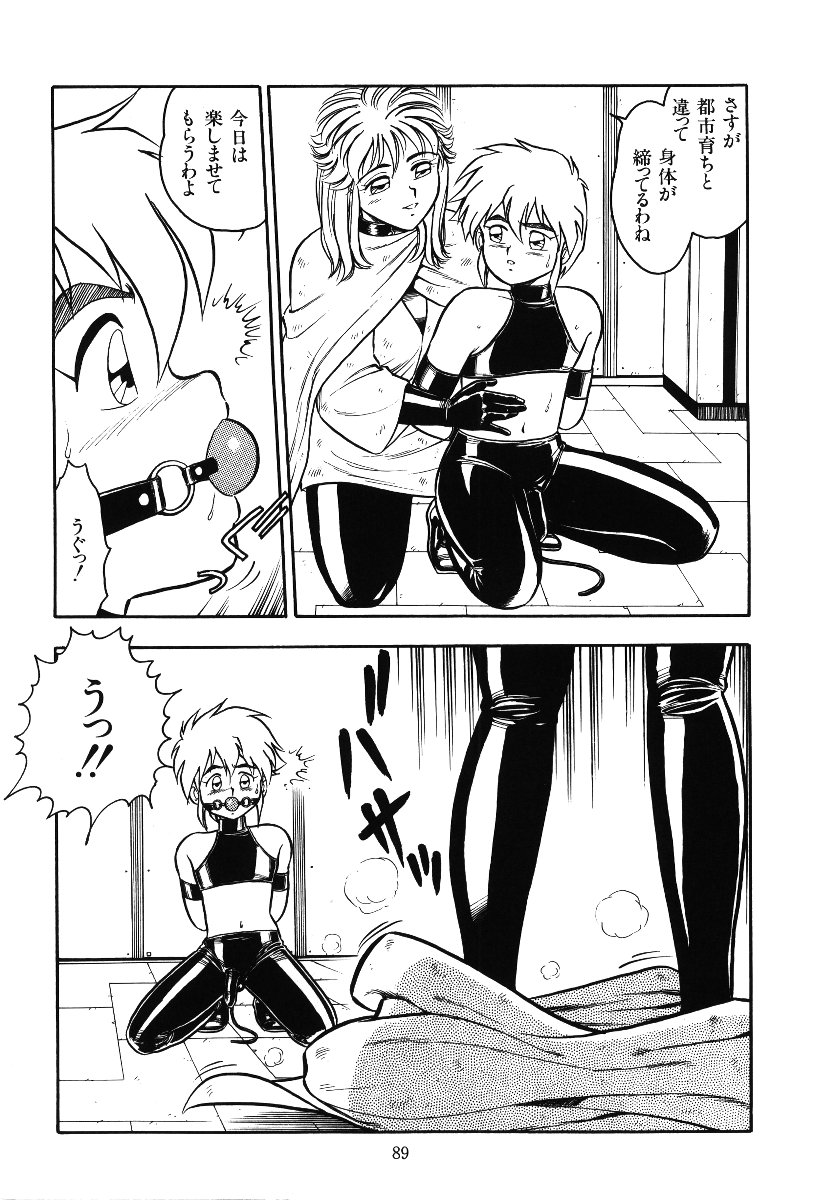 [Shinozaki Rei] Desert Mistress page 6 full