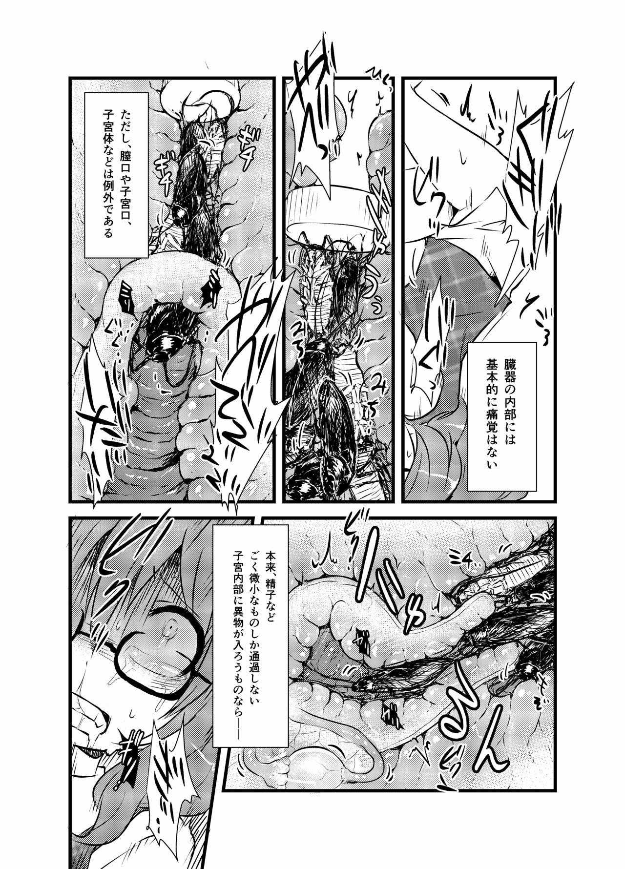 [02 (Harasaki)] Sumireko-chan no Chitsunai ni Gokiburi o Ireru Hon (Touhou Project) [Digital] page 12 full