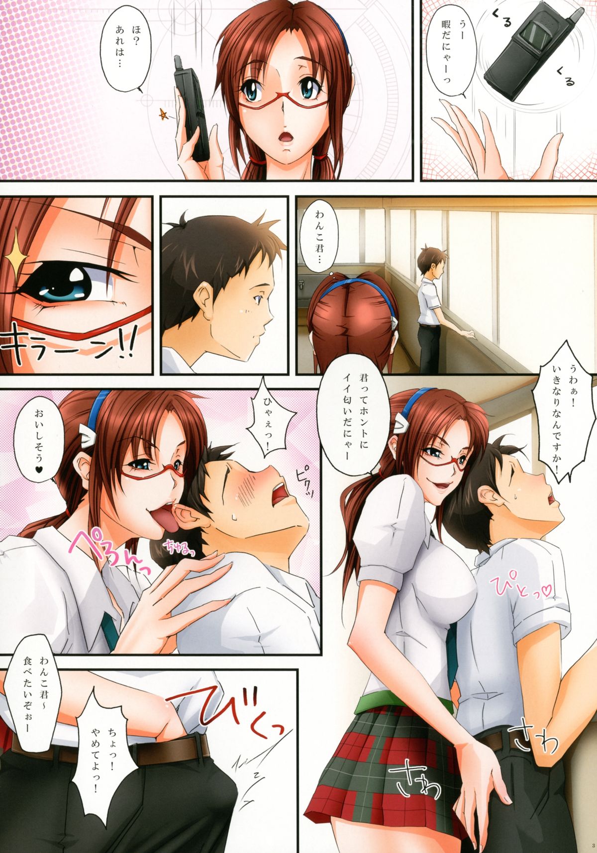 (C83) [Kesshoku Mikan (Anzu, ume)] Raspberyl Orchid (Neon Genesis Evangelion) page 3 full