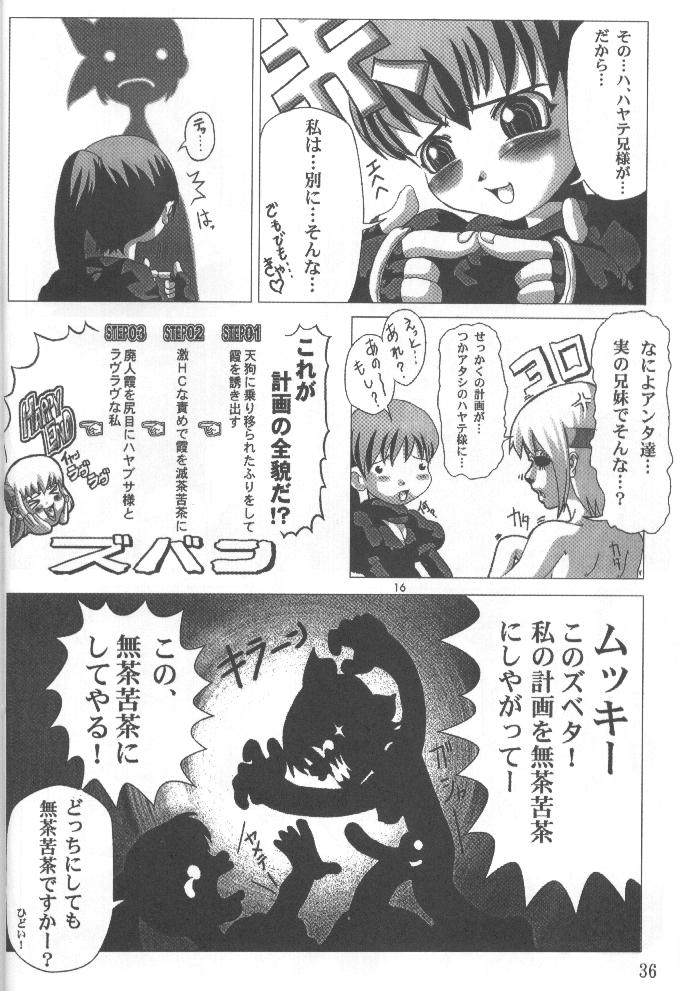 (C58) [Power Slide (Uttorikun, DENIM)] Fuusen (ZOIDS, Dead or Alive) page 35 full