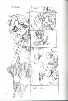[AKABEi SOFT (Alpha)] Leona, Hajimete (King of Fighters) - page 18